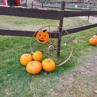 Molner's Pumpkin Festival 