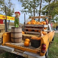 Butterfield Acres Harvest Pumpkin Fest - 22.10.2021