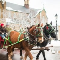 Charlottetown Christmas Festival - 07.12.2021