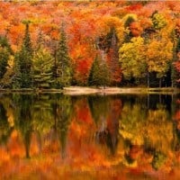 Fall and Christmas Antique Sale - Winnipeg 