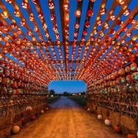 Pumpkins After Dark - Calgary 2022