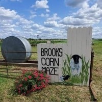 Brooks Corn Maze 2022 - 25.09.2022