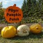 Pilger Pumpkin Festival 2022, Pilger, Saskatchewan