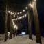 Winterlit - Mountsberg Conservation Area, ON - 19.02.2023
