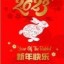 2023 Chinese New Year Celebrations Year of the Rabbit Victoria British Columbia