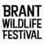 2023 Oceanside Brant Wildlife Festival Parksville and Qualicum Beach Vancouver Island BC