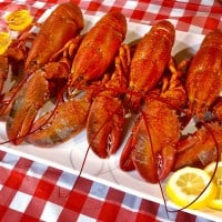 Lobster Boil in Bauline Canada