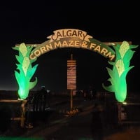 Harvest Lights at Calgary Farmyard 2023