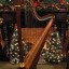 Winter Harp 2023 - Victoria Conservatory of Music