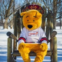 Stanley's Olde Maple Lane Farm Sugarbush 2024 - Ottawa Ontario Canada - 09.03.2024