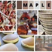 Agape Valley Sugar Bush Maple Syrup Days 2024 - Ridgeville Ontario Canada