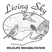 Saskatoon Custom Birding Tours