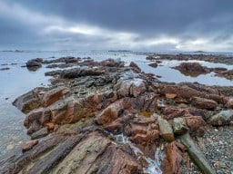 Back Harbour - North Twillingate Island 