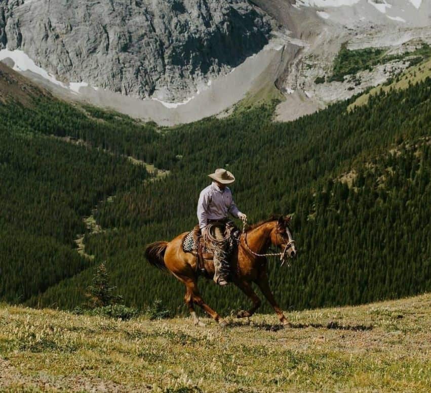 cowboy-horse
