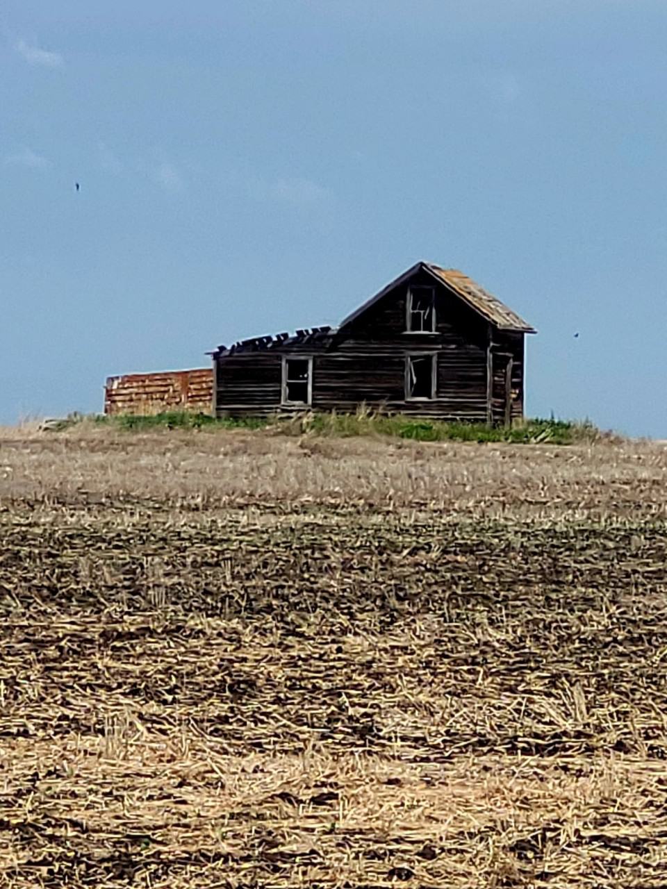 Needs a Roof - Backroads of Saskatchewan 2024-03-21 - Tiny homestead on a hill could use some TLC and a roof on the Backroads of Saskatchewan.