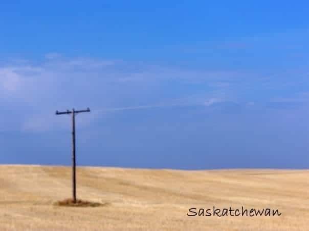 Lone Hydro Pole - Backroads of Saskatchewan 2024-03-26 - Sometimes even the lone hydro electric pole is photo worthy against the golden field and bright blue sky. On the Backroads of Saskatchewan