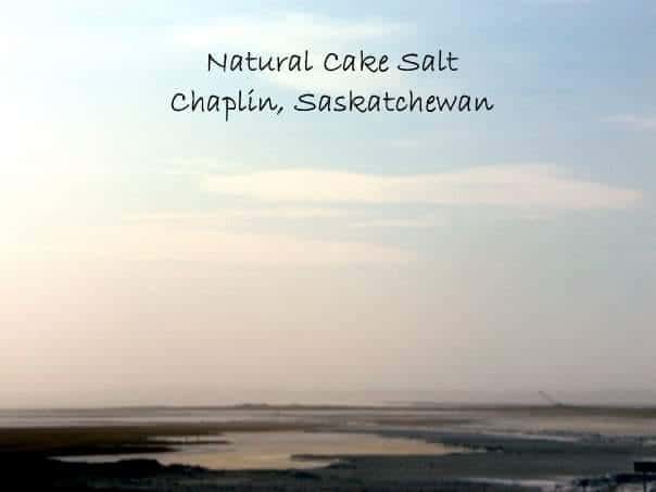 Richest and purest sodium sulphate deposits - Salt of the Earth - Chaplin Saskatchewan Canada 2024-03-11 - The 18-mile-long-Lake Chaplin is the source of one of the richest and purest sodium sulphate deposits in the world.
Chaplin, Saskatchewan, Canada