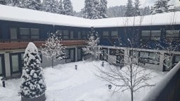 The Dorothy Motel Courtyard Winter Wonderland