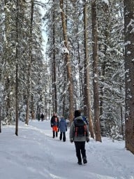 Johnston Canyon Trail in the Winter