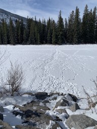 Footprints Across the Bow River in Banff Alberta Canada