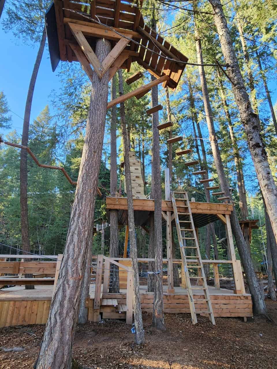 Amazing Treetop Course!  - Test your abilities on this climbing course high up in the tree!