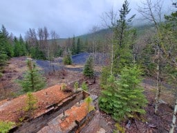 Lille Ghost Town Crowsnest Pass Alberta Canada 2024-05-08