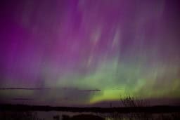 Purple Aurora Borealis in Ontario Canada 