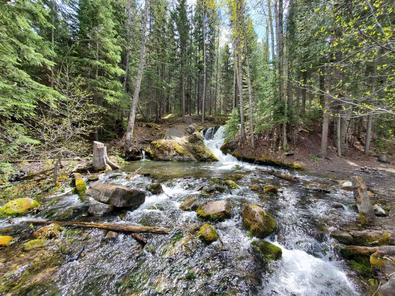Crowsnest Creek Falls  - A waterfall! Easily accessible from Tent Mountain Road, Crowsnest Creek Falls is a cute waterfall in the Crowsnest Pass of Alberta. 