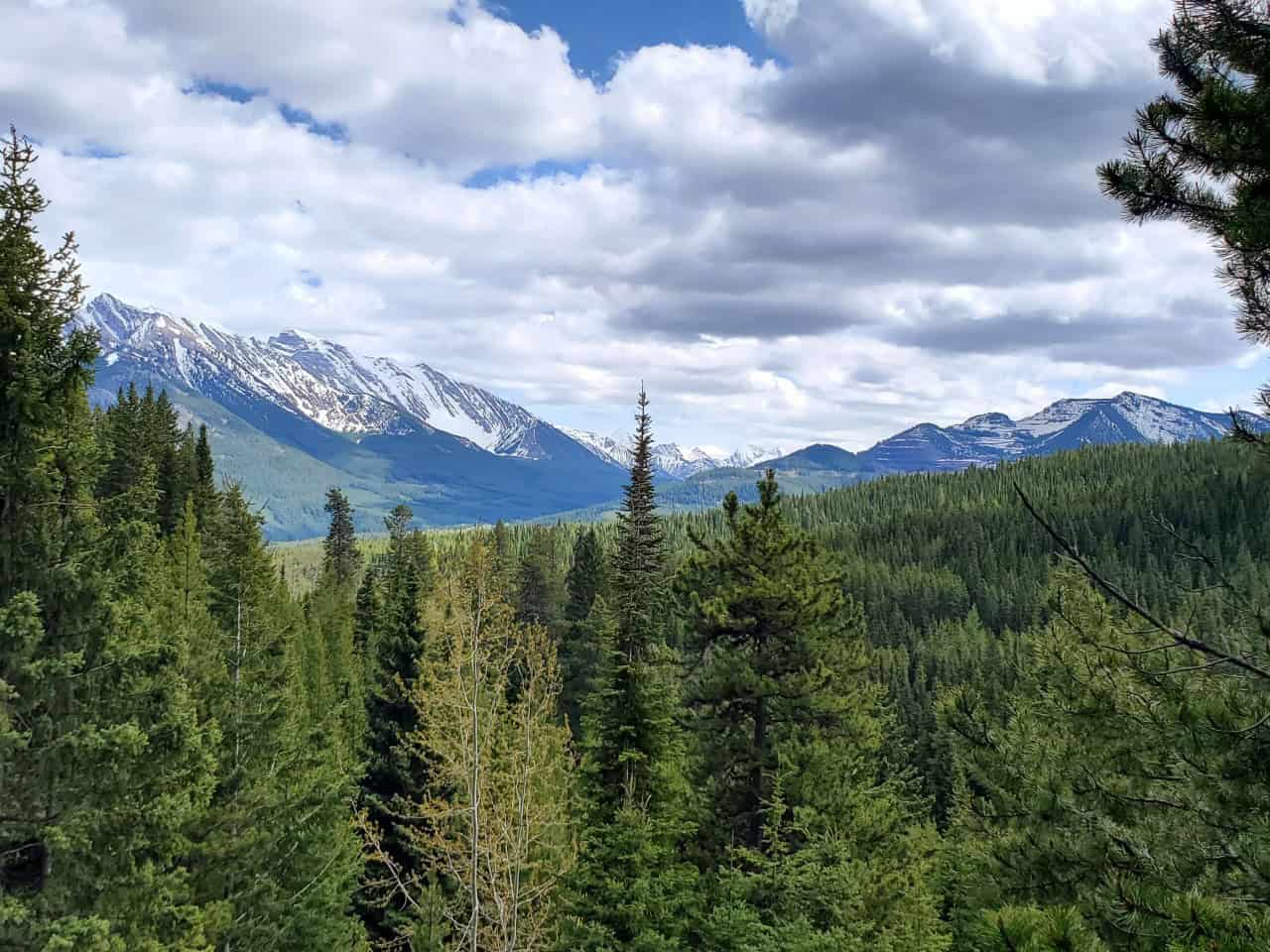 Island Ridge OHV Trails in Alberta Canada  - You're treated with some amazing views whether you're hiking, biking or quadding in the area. The views surrounding Island Ridge in the Crowsnest.