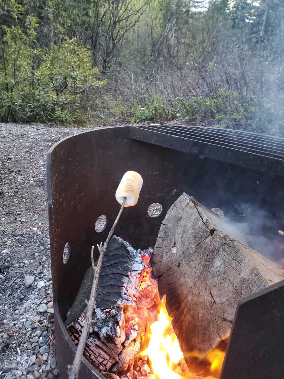 Roasting Marshmallows Over the Fire - Making marshmallows for some campfire s'mores!