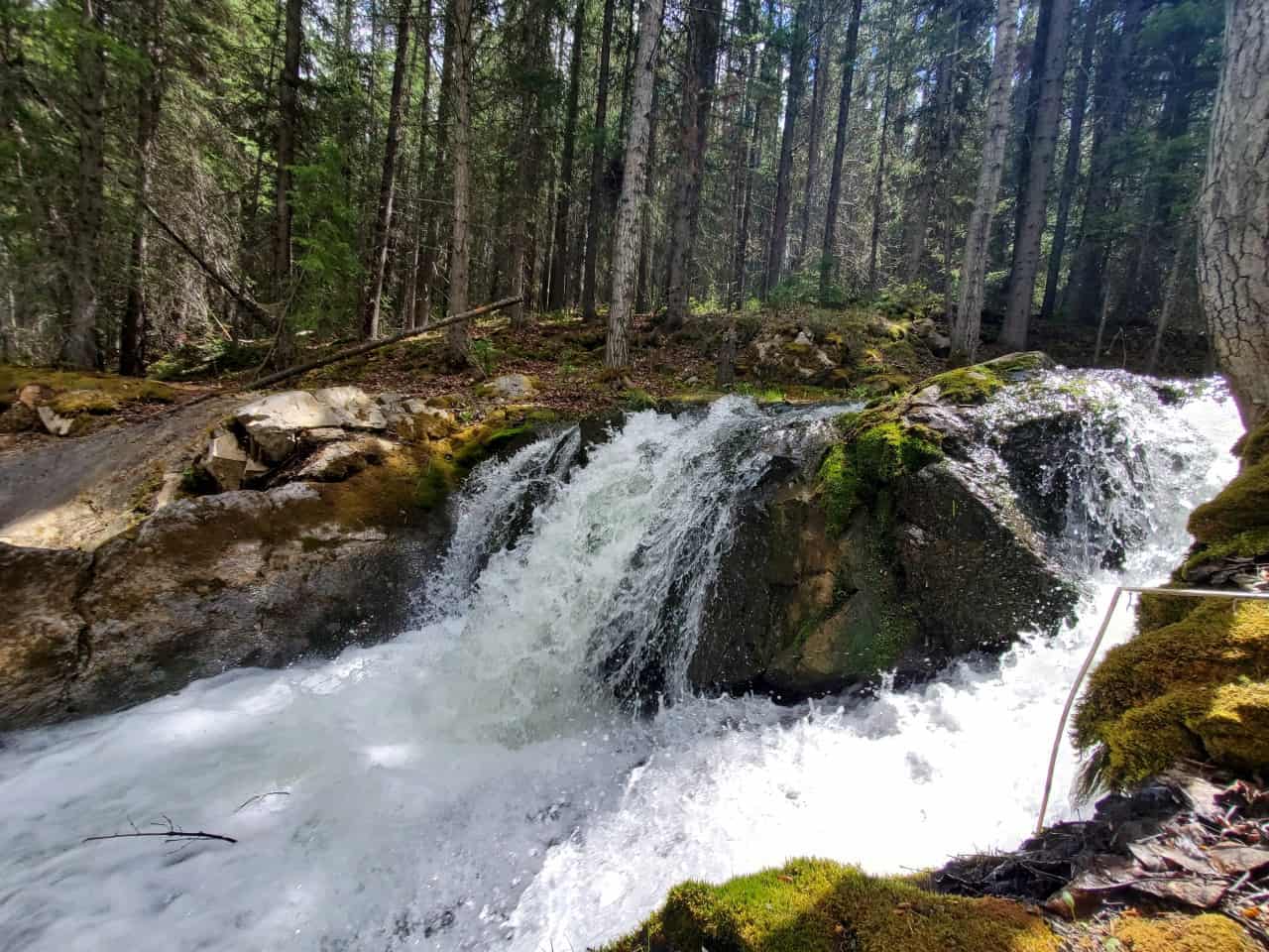 Spring Flow Crowsnest Creek Falls  - Late May and early June are the best times to view waterfalls in Alberta Canada with the snow melting in the mountains and spring runoff happens 