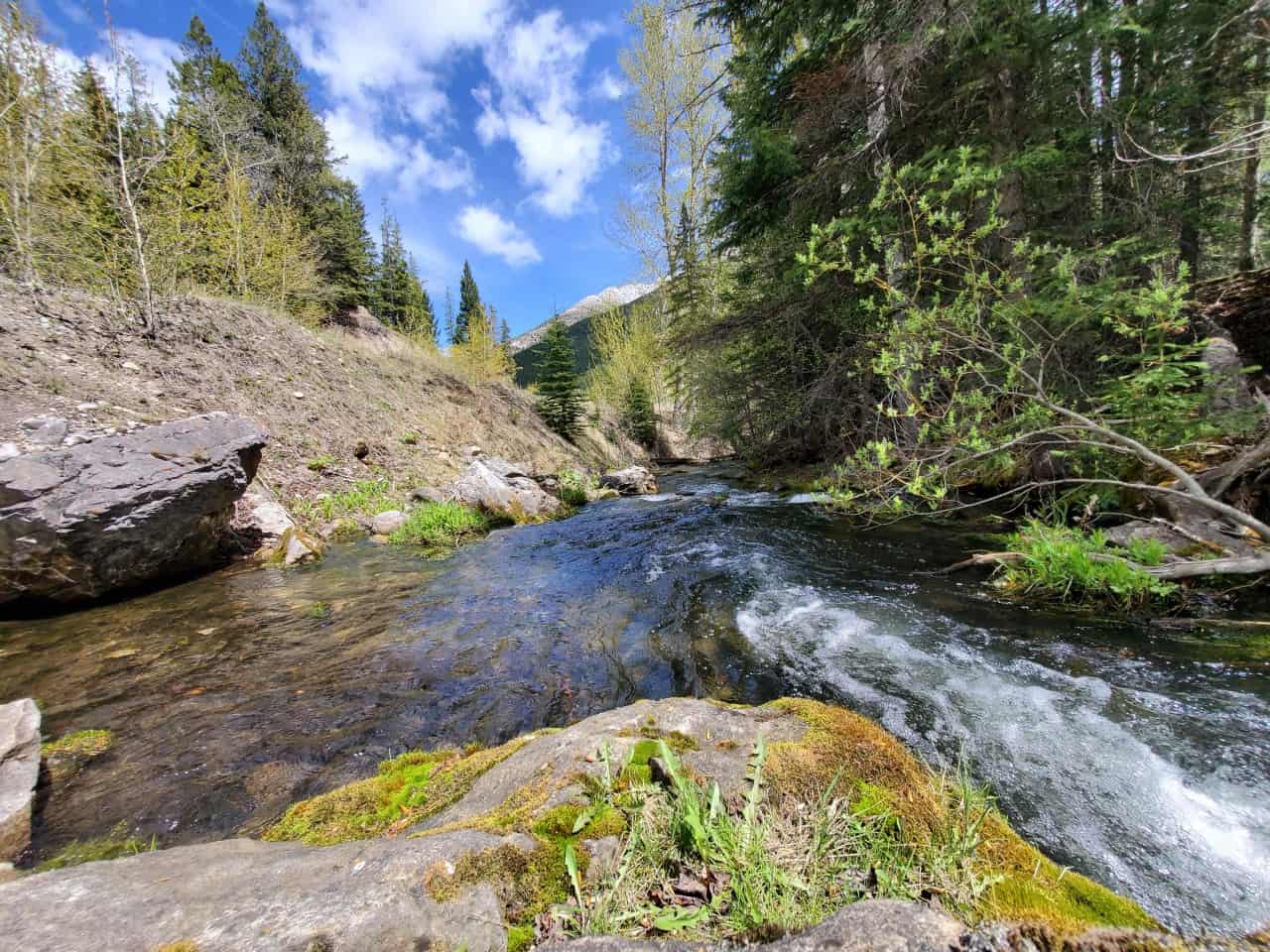 The Beautiful Crowsnest Creek in Alberta  - Crowsnest Creek is a smaller body off water off of themain Crowsnest River in the south Livingstone Public Land Use Zone. 