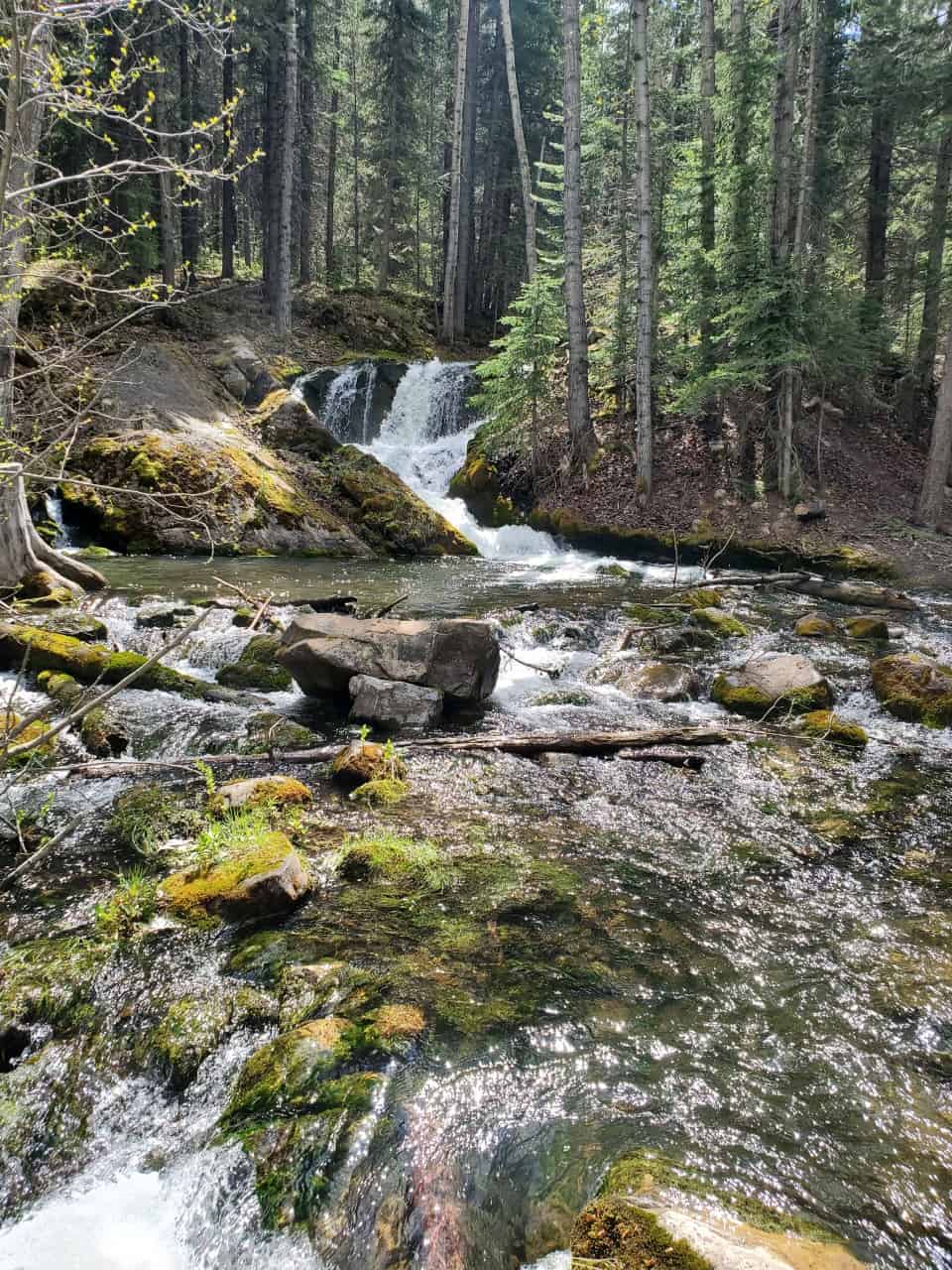 Crowsnest Creek Falls Livingstone Public Land Use Zone  - A beautiful easy to access waterfall in the Crowsnest Pass of Alberta. Located down Tent Mountain Rd 