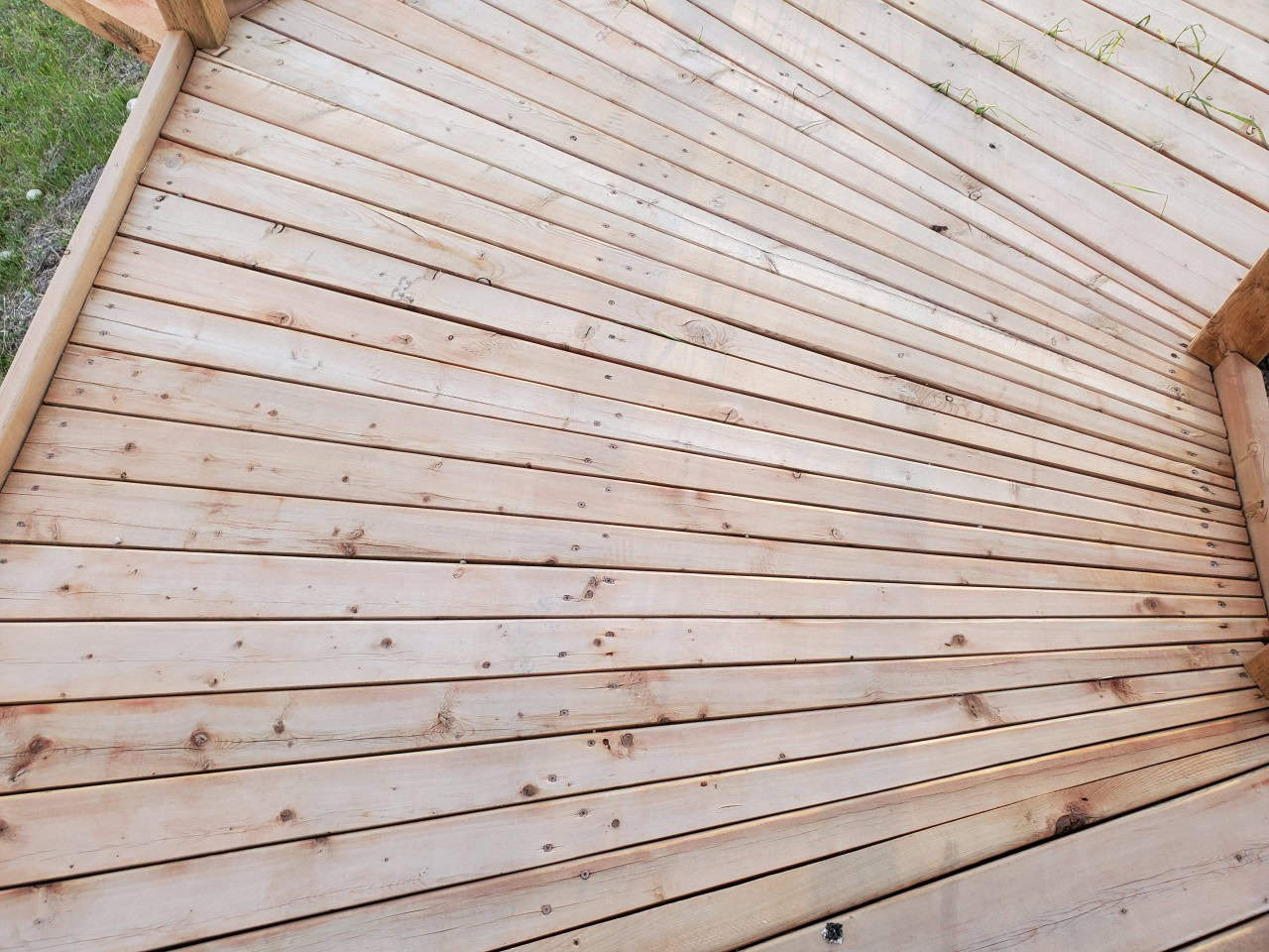 Fantastic Volunteer Built Boardwalk in Sundre 