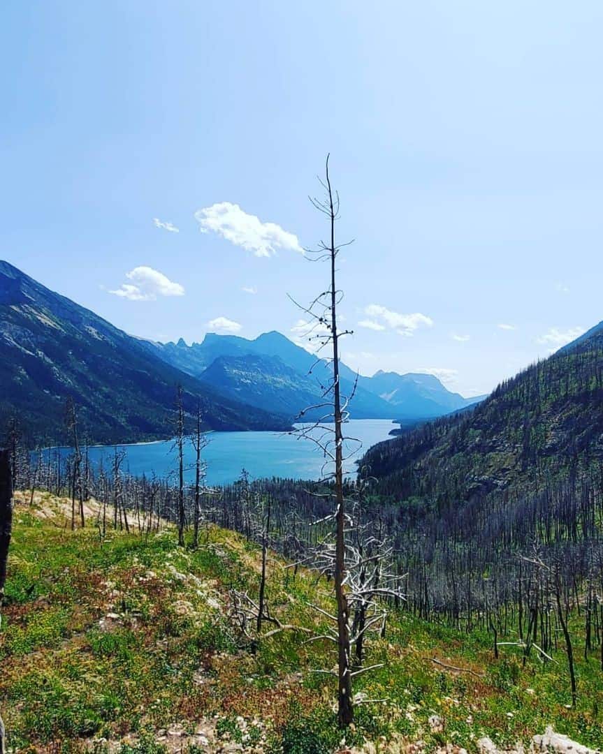 Waterton Lakes National Park  - Since the fire in 2017, it's been a slow but beautiful recovery in the park. 
The mountains you see all on the left are actually in the USA. 
This is the Bertha Lake trail and just a small peak of the gorgeous views you get from this hike.
Beautiful Waterton Lake.