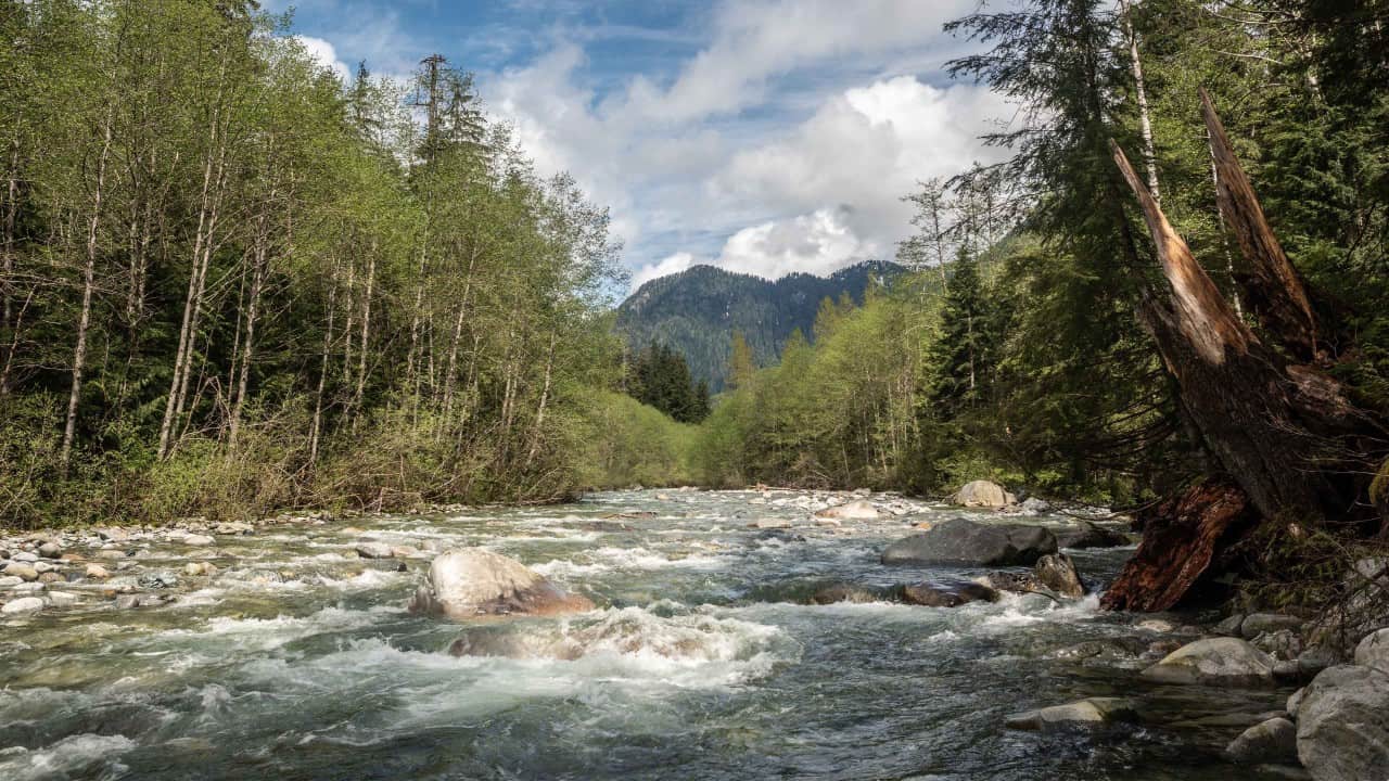 Lynn-Valley-Headwaters-Vancouver-British-Columbia - A river runs through the Lyn valley regional park with mountains in the background