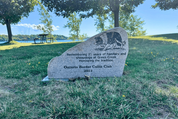 Ontario-Border-Collie-Club-monument-Grass-Creek-Park-Kingston-Ontario - Grass Creek Park is the annual location of the Kingston Sheep Dog Trials - one of the largest and most prestigious sheepdog trial events in North America. These trials bring together herding dogs (mostly border collies) and their handlers to compete in a course where they must move sheep through gates and around obstacles. The Kingston Sheepdog Trials has been running for over 35 years at Grass Creek Park.