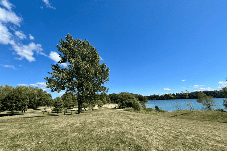 Grass-Creek-Park-St Lawrence River-Kingston - The scenery is beautiful at Grass Creek Park on the St. Lawrence River, east of Kingston, Ontario. Here you can see the sandy beach in the distance, open fields and accessible play structure. To the left is the large off-leash dog park and to the right is the dog swimming area.