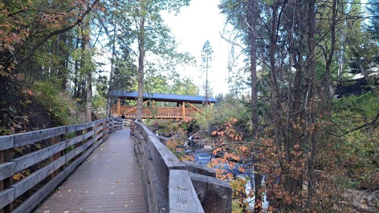 Wooden Footbridge Over Mark Creek - A different angle of the main wooden bridge highlights its design and setting over Mark Creek. The perspective shows the surrounding forest and flowing water from a fresh viewpoint.