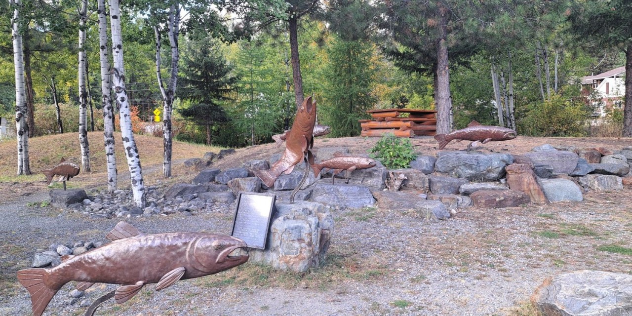 Westslope Cutthroat Trout Sculpture at Marysville Eco Park - The sculpture celebrates the return of native trout. It highlights how local restoration work improved stream health and habitat along Mark Creek, showing conservation efforts in action.