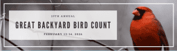 great-backyard-bird-count-2026