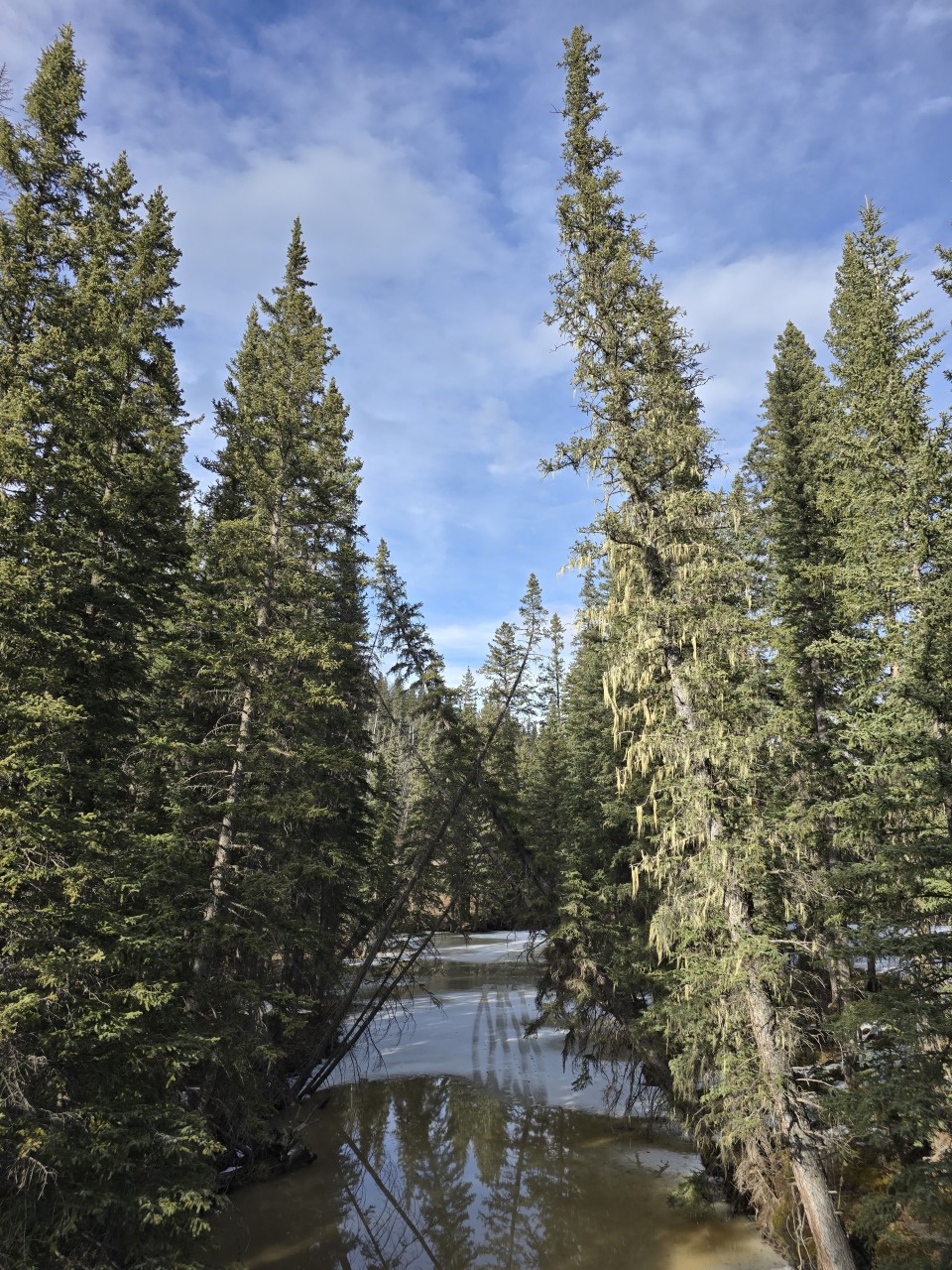 James River Spring Melt Clearwater County - As spring arrives, rivers like the James River begin to break free from winter ice throughout Clearwater County.