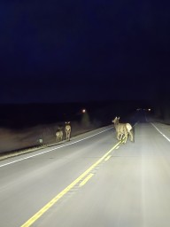 Elk Crossing Road Clearwater County