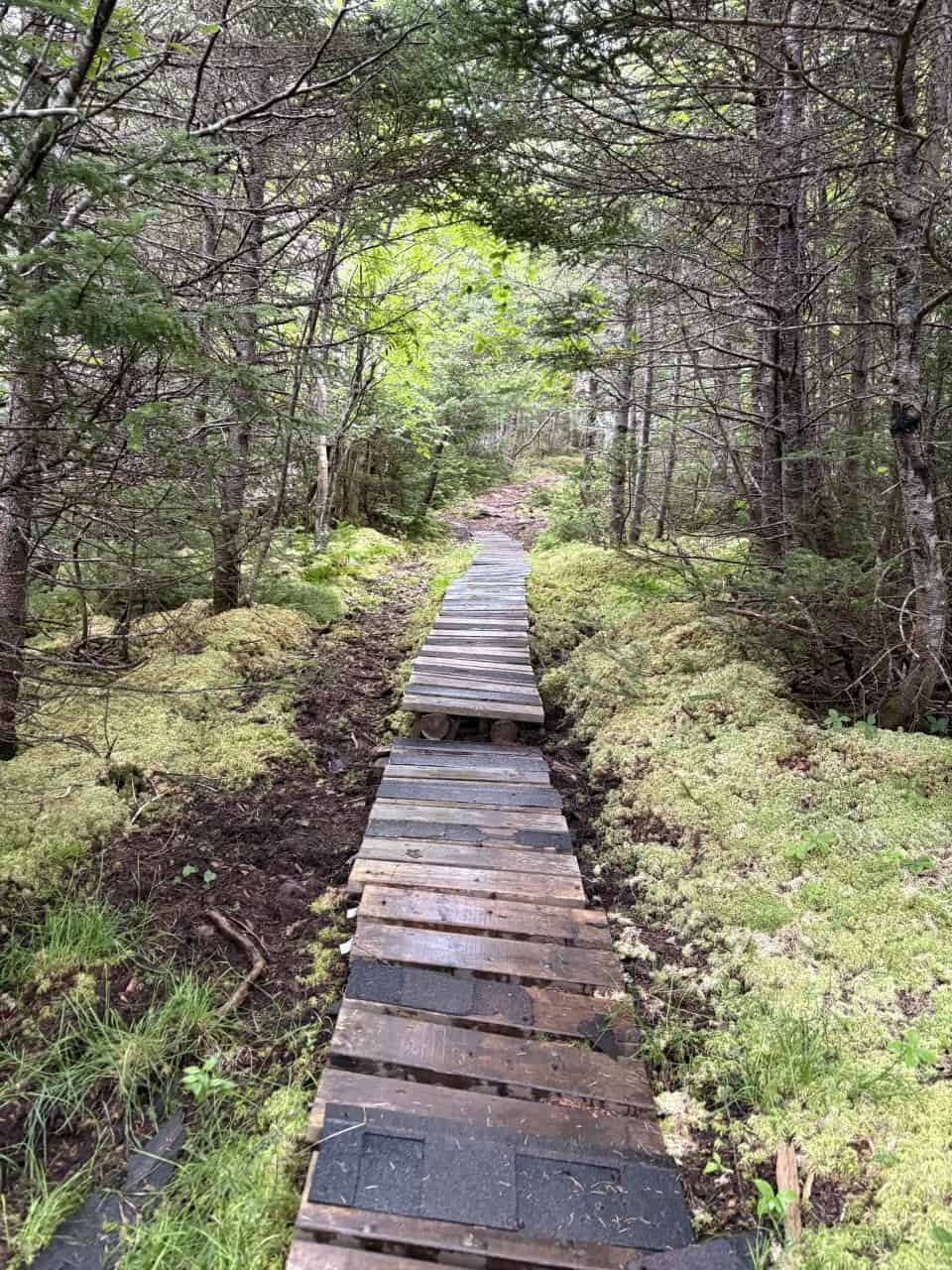 Boardwalks-on-the-Cahcne-Cover-Trail - Chance Cove Coastal Hiking Trail featured a boardwalk which helped to keep hikers off the wet terrain below. The rain made it a bit slippery so we had to be careful.