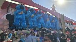 Houston-Rodeo-Midway-Prizes