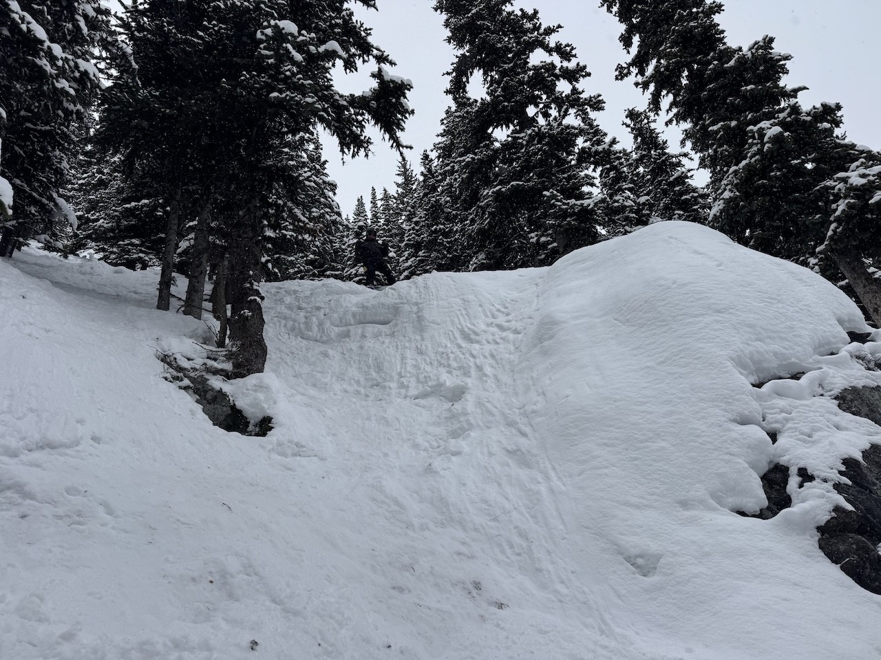 Find-Lisa-at-Apex-Mountain-Resort - The snow conditions were great at Apex Mountain Resort. It might be time for a brighter jacket to be seen in the trees a little bit better. Can you find me?