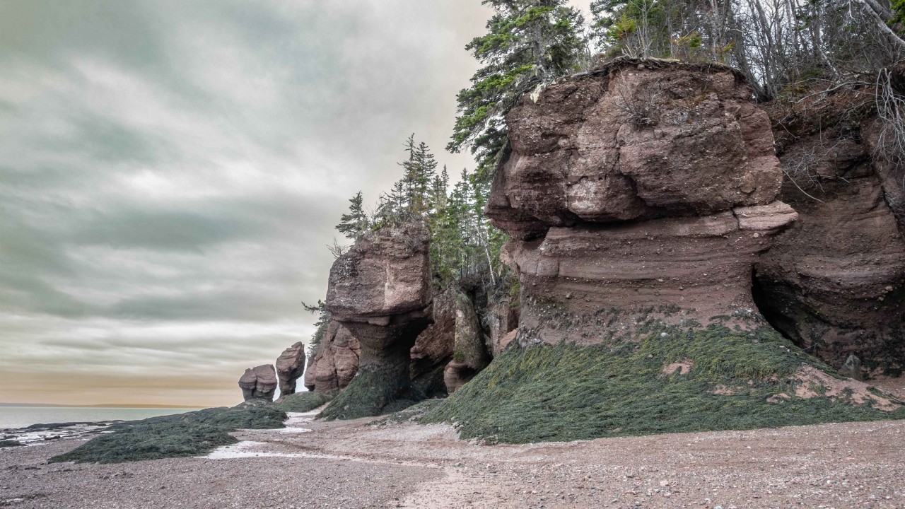 Hopewell-Rocks-Bay-Of-Fundy - Evening sky on the Bay of Fundy at the Hopewell Rocks Provincial Park, low tide.