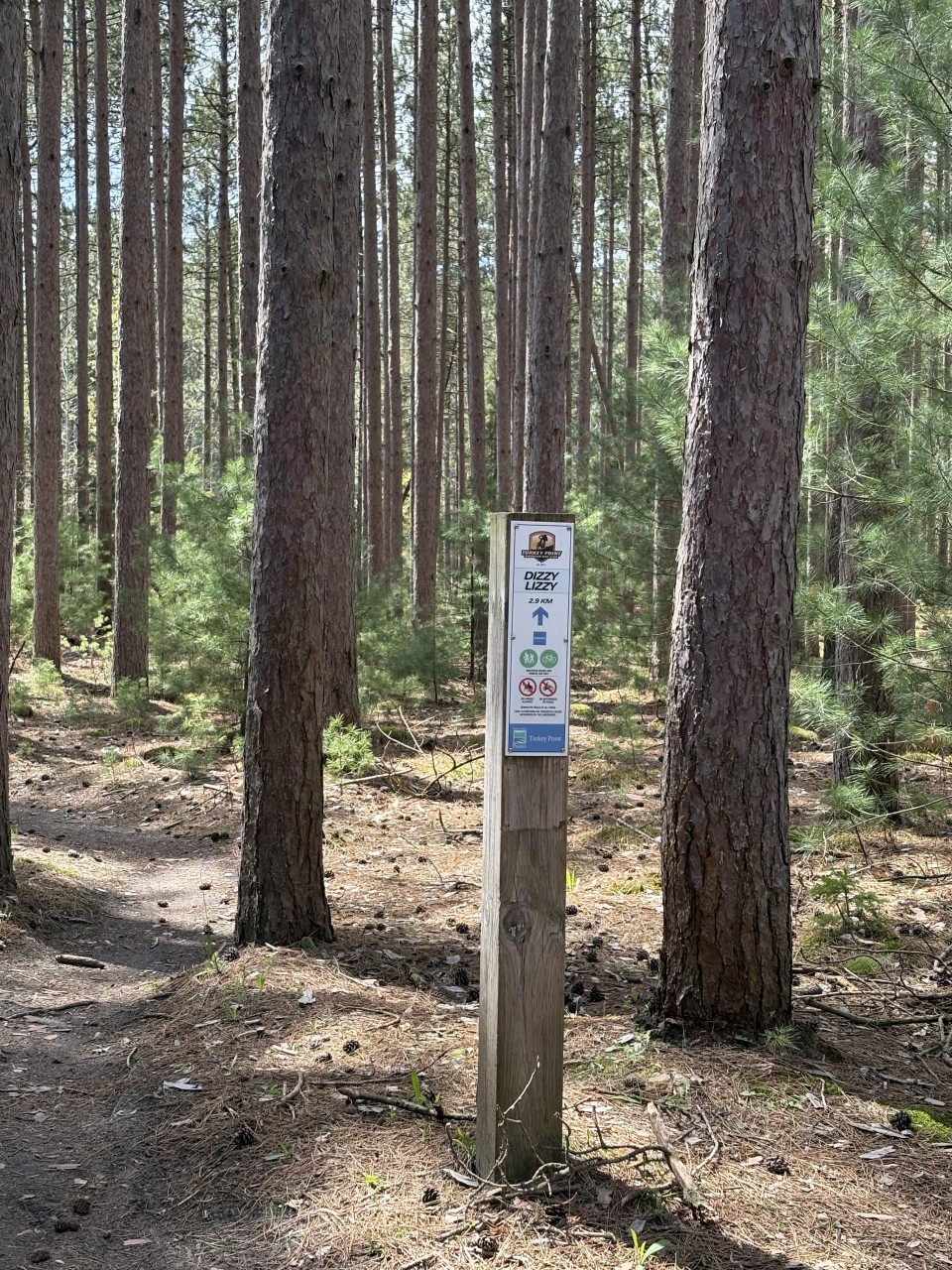 Dizzy-Lizzy-Trail-at-Turkey-Point - Signs and markers tell mountain bikers the names and difficulty rating of the trails they are riding at Turkey Point. Dizzy Lizzy lives up to the name with many twists and turns for riders to enjoy!