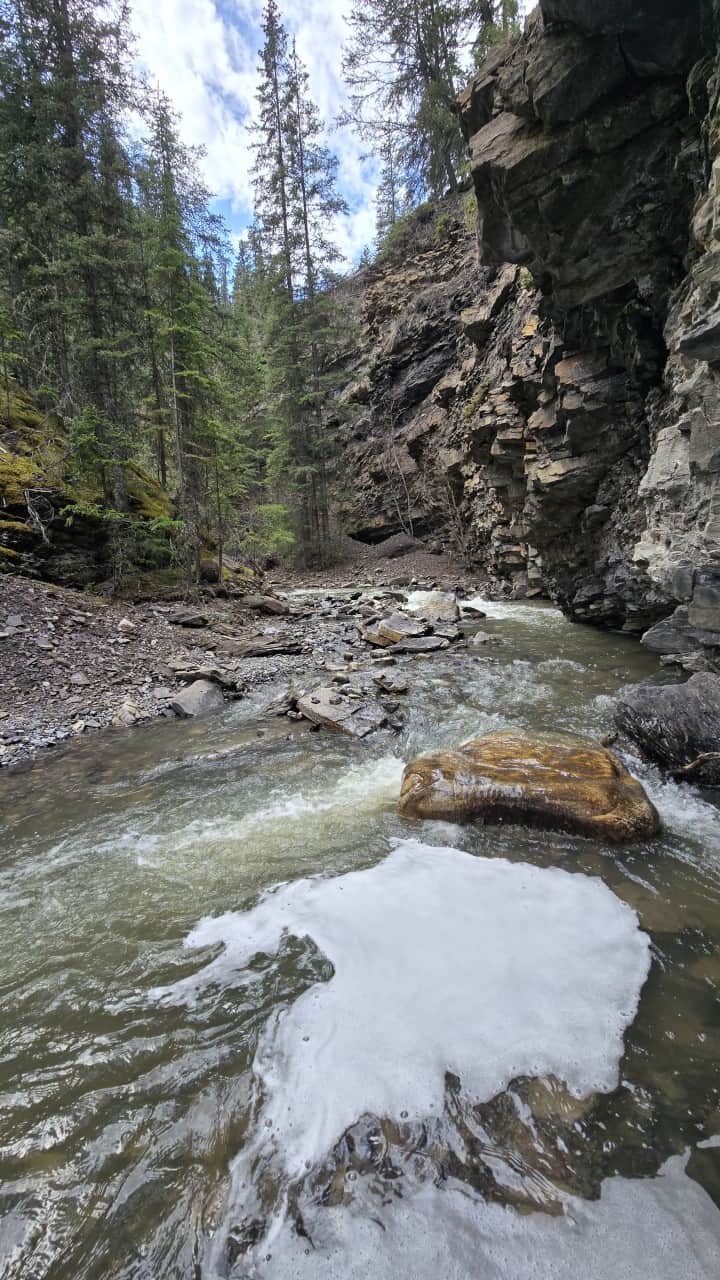 Mountain Creek Flowing Through Tershishner Canyon - Fast-flowing glacier-fed water winds through the rocky canyon below Tershishner Creek Falls near Abraham Lake, Alberta. A beautiful hidden gem destination in Clearwater County