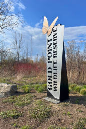 Gold-Point-Wildlife-Reserve-Oshawa-Ontario-Canada